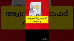 Leia mais sobre o artigo വിജയം നിങ്ങളെ ത്തേടി #tarot #shortvideo #shortsfeed