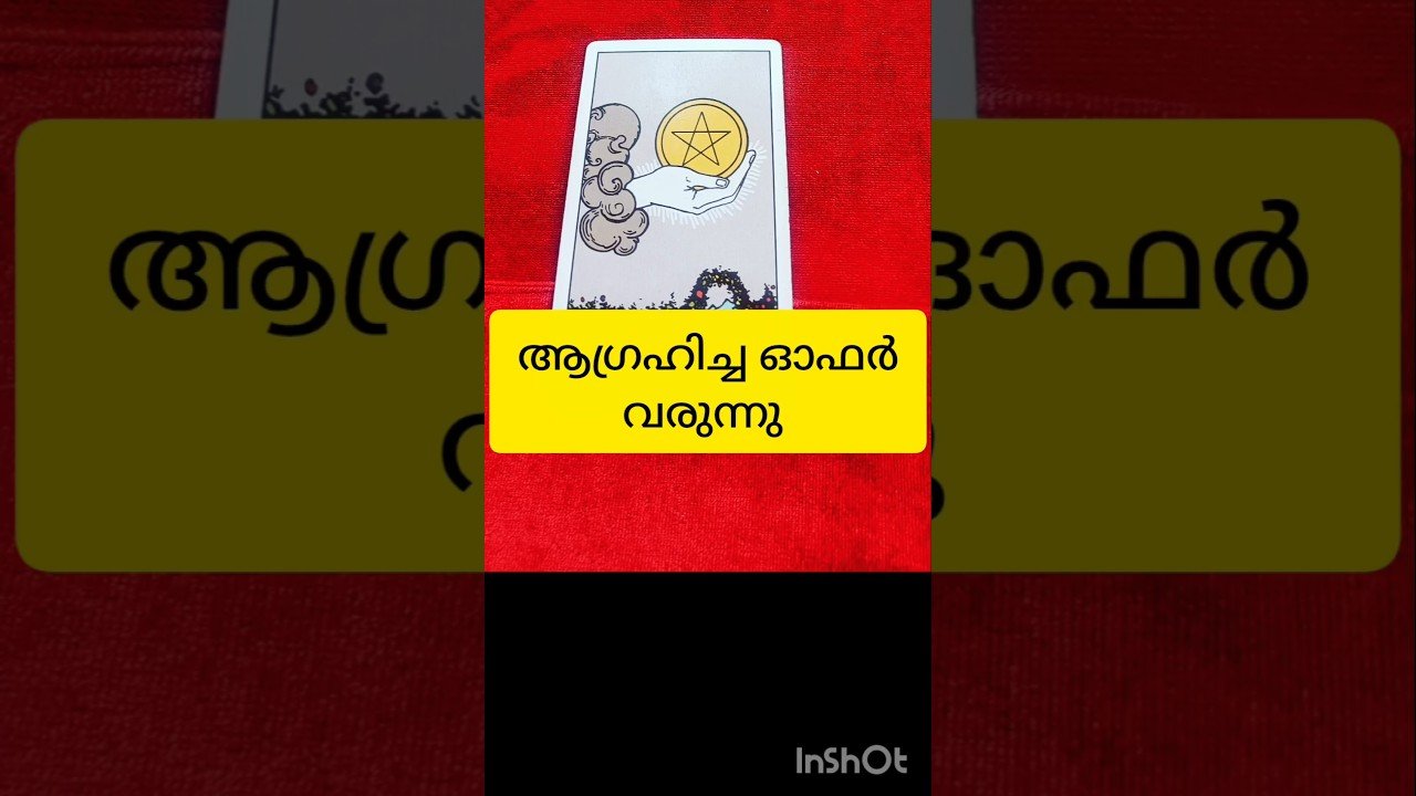 No momento, você está visualizando വിജയം നിങ്ങളെ ത്തേടി #tarot #shortvideo #shortsfeed