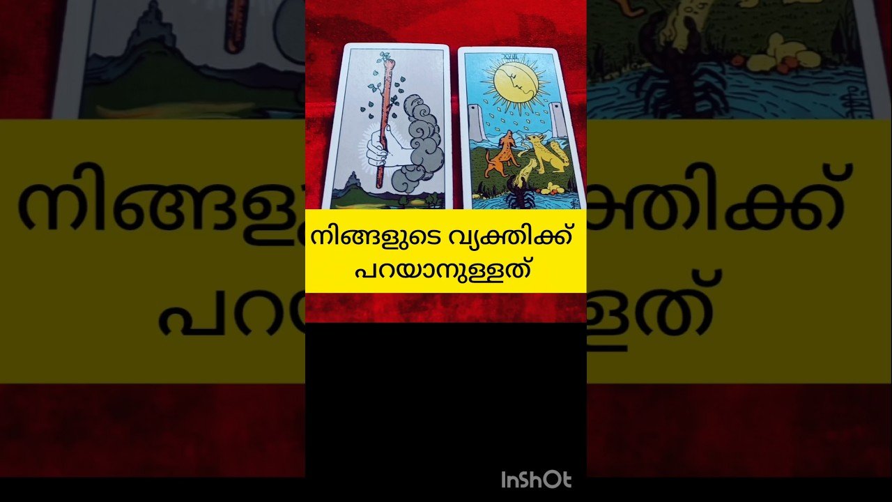 No momento, você está visualizando വ്യക്തിക്ക് നിങ്ങളോട് പറയാനുള്ളത് #tarot #sgortsvideo #shortsfeed