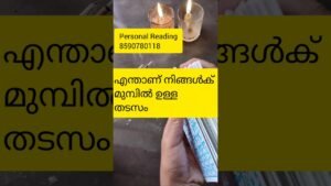 Leia mais sobre o artigo എന്താണ് നിങ്ങൾക്കുള്ള തടസം 🙏#timelessreading #tarot #collectivereading #generalreading