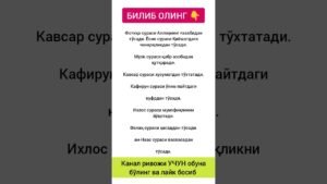 Leia mais sobre o artigo Bilib oling ☝️ #rasulullah #tarot #المصحف #الرحمن #hikmatlar #البرزخ #memes #القزابري #alhamdulillah