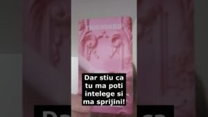 Leia mais sobre o artigo Facem o echipă chiar foarte bună împreună!! #tarot #intrebari #27march