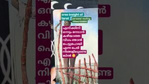 Leia mais sobre o artigo If you are worried that I am too caught up in my own destiny to achieve anything