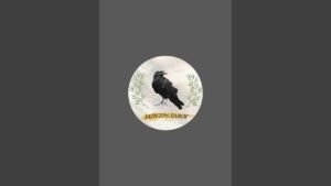 Leia mais sobre o artigo Kuzgun Tarot kanalı canlı yayında