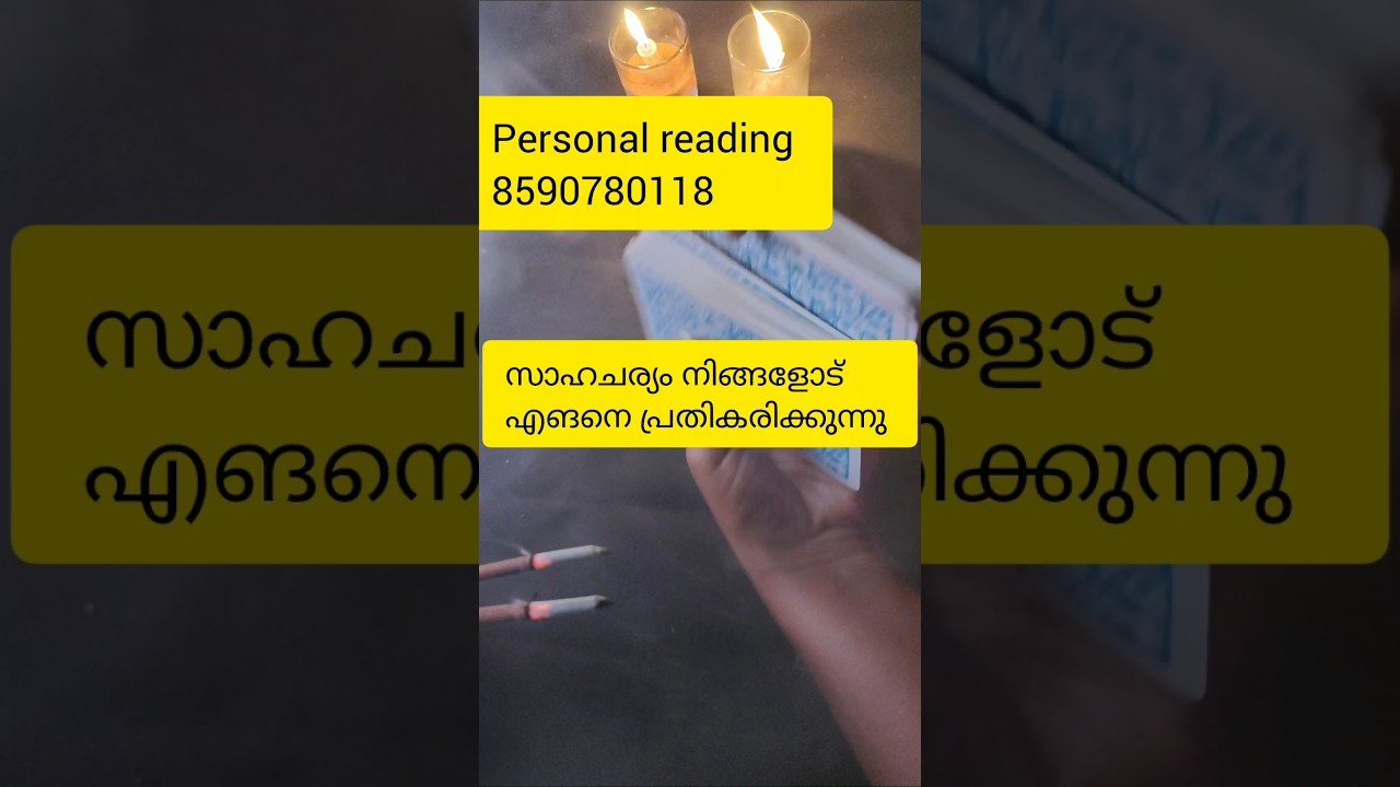 No momento, você está visualizando sahacharyam nigalod egane perumarunn 🙏#timelessreading #collectivereading #tarot #generalreading