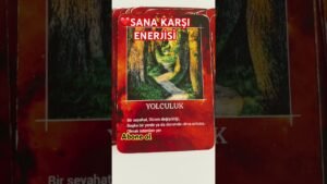 Leia mais sobre o artigo ❤️SANA KARŞI ENERJİSİ #tarot #tarotfal #astrolojiyorumu #aklındakikişi #aşkfalı #tarotreading
