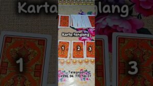 Leia mais sobre o artigo SIZSIZ UNI AHVOLI QANDAY #tarot #tarotreading #tarotcardreading #sevgi #fol #taqdir #astrology