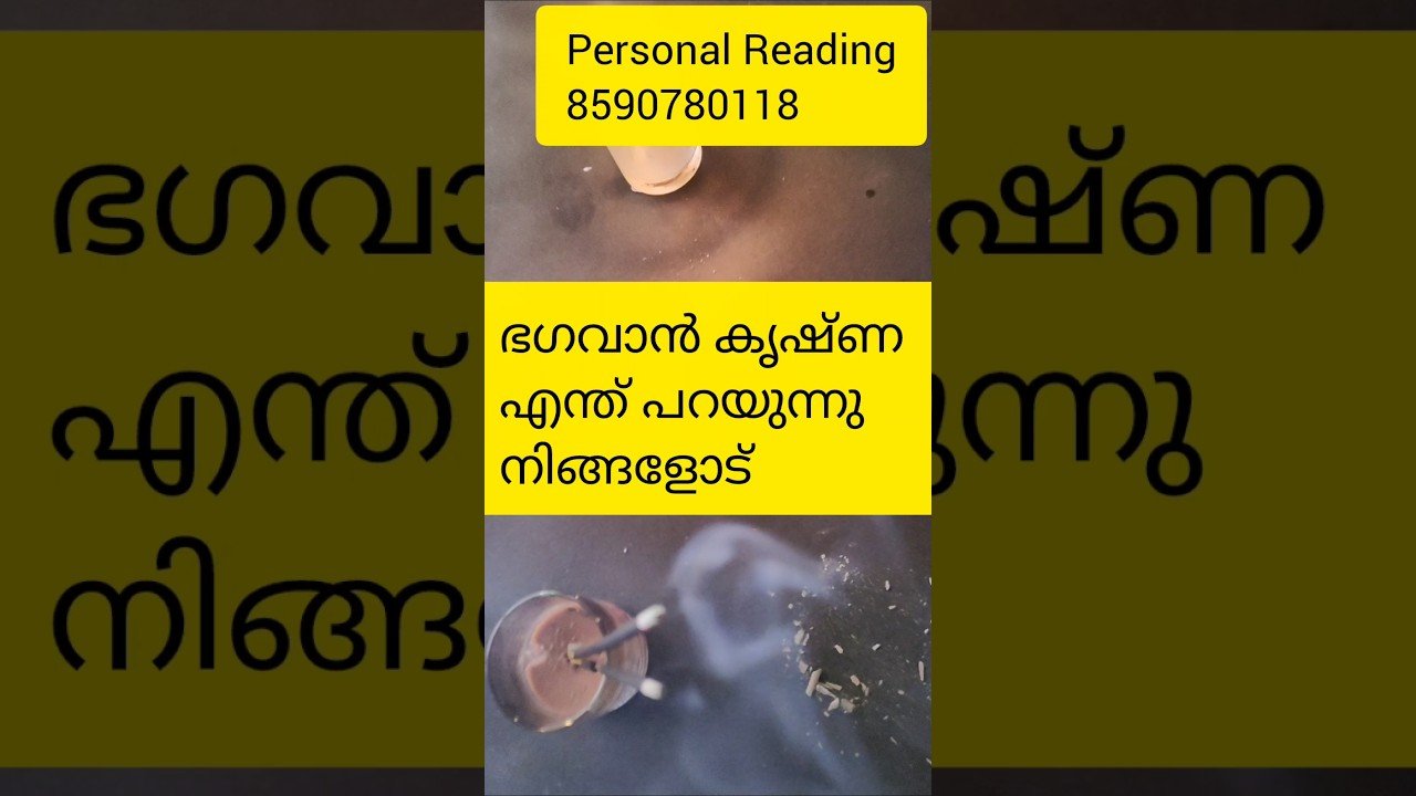 No momento, você está visualizando sree krishna message 🙏#timelessreading #collectivereading #tarot