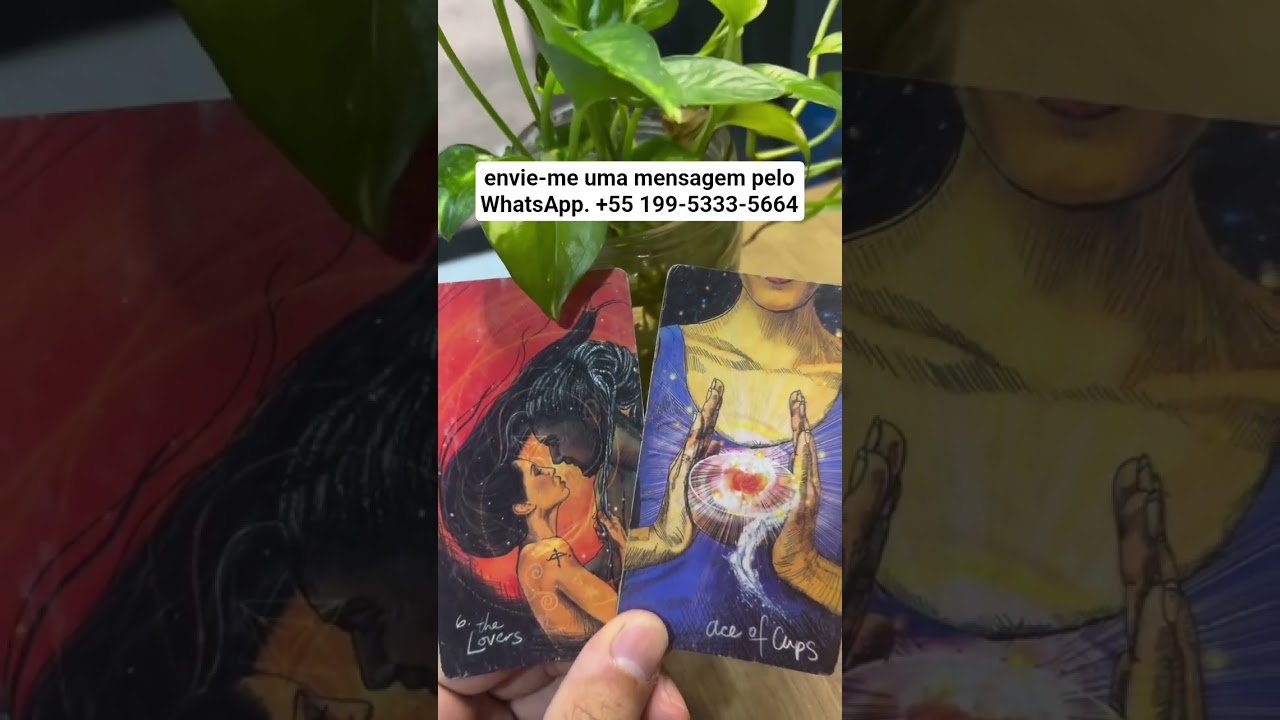 No momento, você está visualizando #tarot