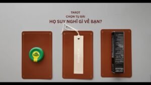 Leia mais sobre o artigo tarot: chọn tụ bài: họ suy nghĩ gì về bạn?