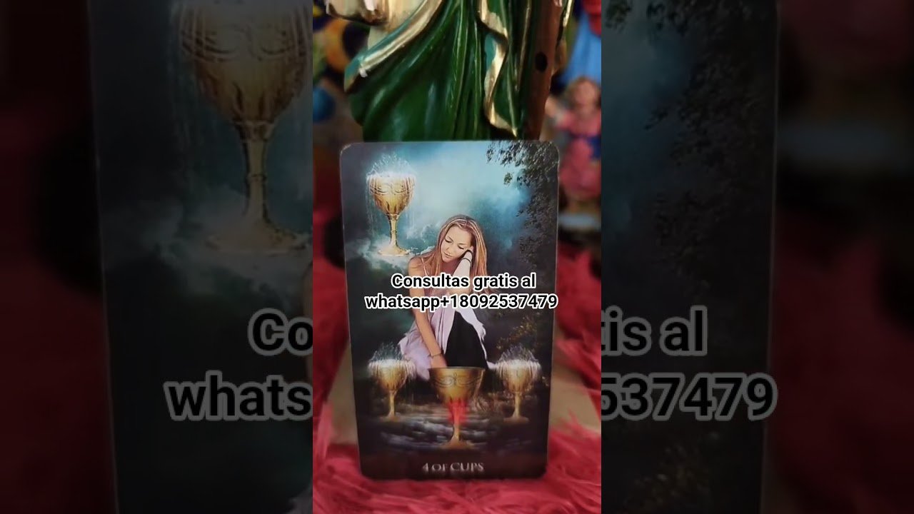 No momento, você está visualizando #tarot #seguimi #tarotreading #amor #horoscopo #fe