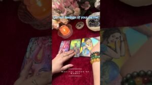 Leia mais sobre o artigo You’re partner’s current feelings #tarot #tarotreading #timeless #collectivereading