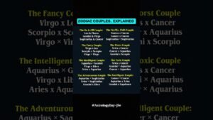 Leia mais sobre o artigo ZODIAC SIGNS COUPLES.. EXPLAINED #zodiac #zodiacsigns #astrology #horoscope #tarot
