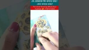Leia mais sobre o artigo সে তোমাকে কি বলতে চায়? কেন বলতে চায়? #tarot #shortsvedio #shorts #reels #astrologer #current