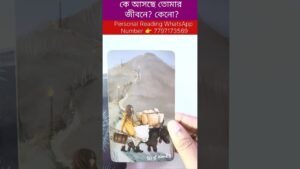 Leia mais sobre o artigo কে আসছে তোমার এ জীবনে? #tarot #bengalitarotreading #tarotcardreading #reels #soulfamily1111