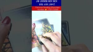 Leia mais sobre o artigo কে তোমাকে মন থেকে চায়? #tarot #bengalitarotreading #fortunetelling #tarotcardreading #reels #shorts