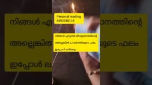 Leia mais sobre o artigo ആ ഫലം നോക്കു 🙏#timelessreading #collectivereading #tarot #collectivereading #generalreading