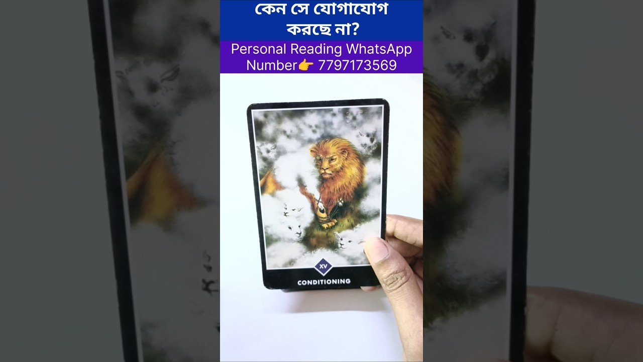 No momento, você está visualizando কেন সে যোগাযোগ করছে না? #tarot #bengalitarotreading #tarotcardreading #tarotreading #reels