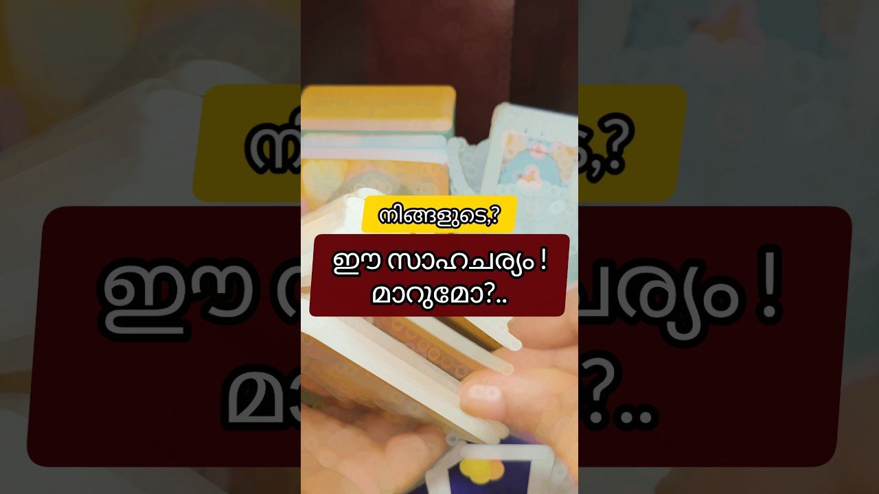 No momento, você está visualizando ഈ സാഹചര്യം മാറുമോ? #astrology #tarot #horoscope #മലയാളം #cardoftheweek #tarotcaards #tarotastro
