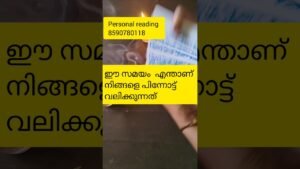 Leia mais sobre o artigo ഈ സമയം എന്താണ് നിങ്ങളെ പിന്നോട്ട് വലിക്കുന്നത് 🙏#timelessreading#astrology #collectivereading#tarot