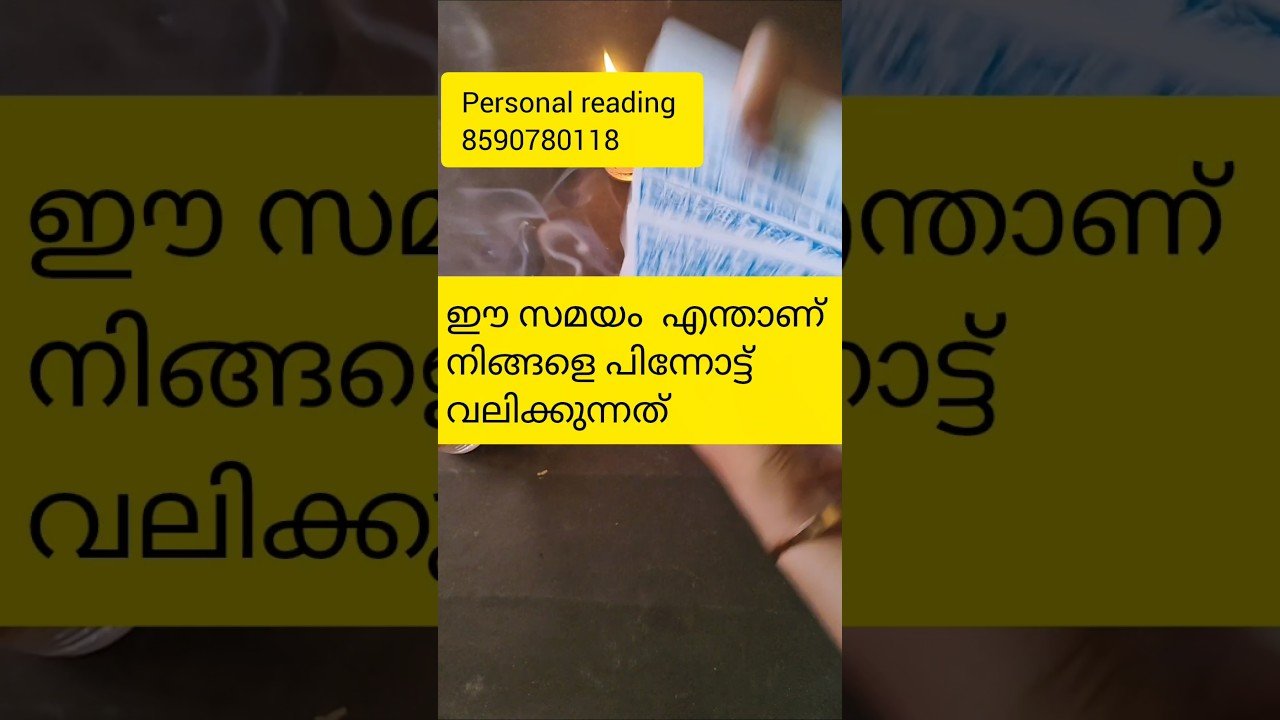 No momento, você está visualizando ഈ സമയം എന്താണ് നിങ്ങളെ പിന്നോട്ട് വലിക്കുന്നത് 🙏#timelessreading#astrology #collectivereading#tarot