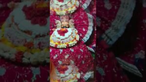 Leia mais sobre o artigo खाटू नरेश बाबा की जय#jaishreeshyam #live #tarot #shyam #khatuwalashyam