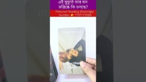 Leia mais sobre o artigo এই মুহূর্তে তার মনে কি চলছে? #tarot #bengalitarotreading #tarotreadi #astrology #reels