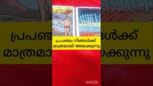 Leia mais sobre o artigo പ്രപഞ്ചം  സന്ദേശം അയക്കുന്നു #tarot #shortsfeed #shortvideo