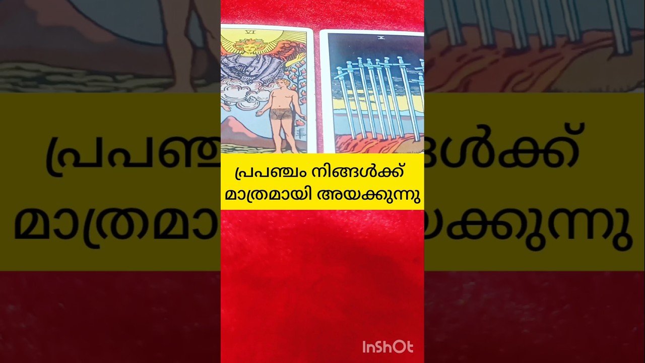 No momento, você está visualizando പ്രപഞ്ചം  സന്ദേശം അയക്കുന്നു #tarot #shortsfeed #shortvideo