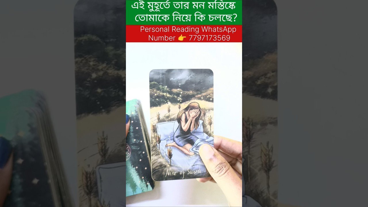 No momento, você está visualizando এই মুহূর্তে তার মন মস্তিষ্কে তোমাকে নিয়ে কি চলছে? #tarot #bengalitarotreading #fortunetelling