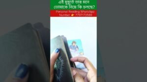 Leia mais sobre o artigo এই মুহূর্তে তার মন মস্তিষ্কে কি চলছে? #tarot #bengalitarotreading!#fortunetelling #reels