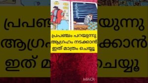 Leia mais sobre o artigo ഇത് ചെയ്താൽ നിങ്ങളുടെ ആഗ്രഹം നടക്കും #tarot #shortsfeed #shortvideo