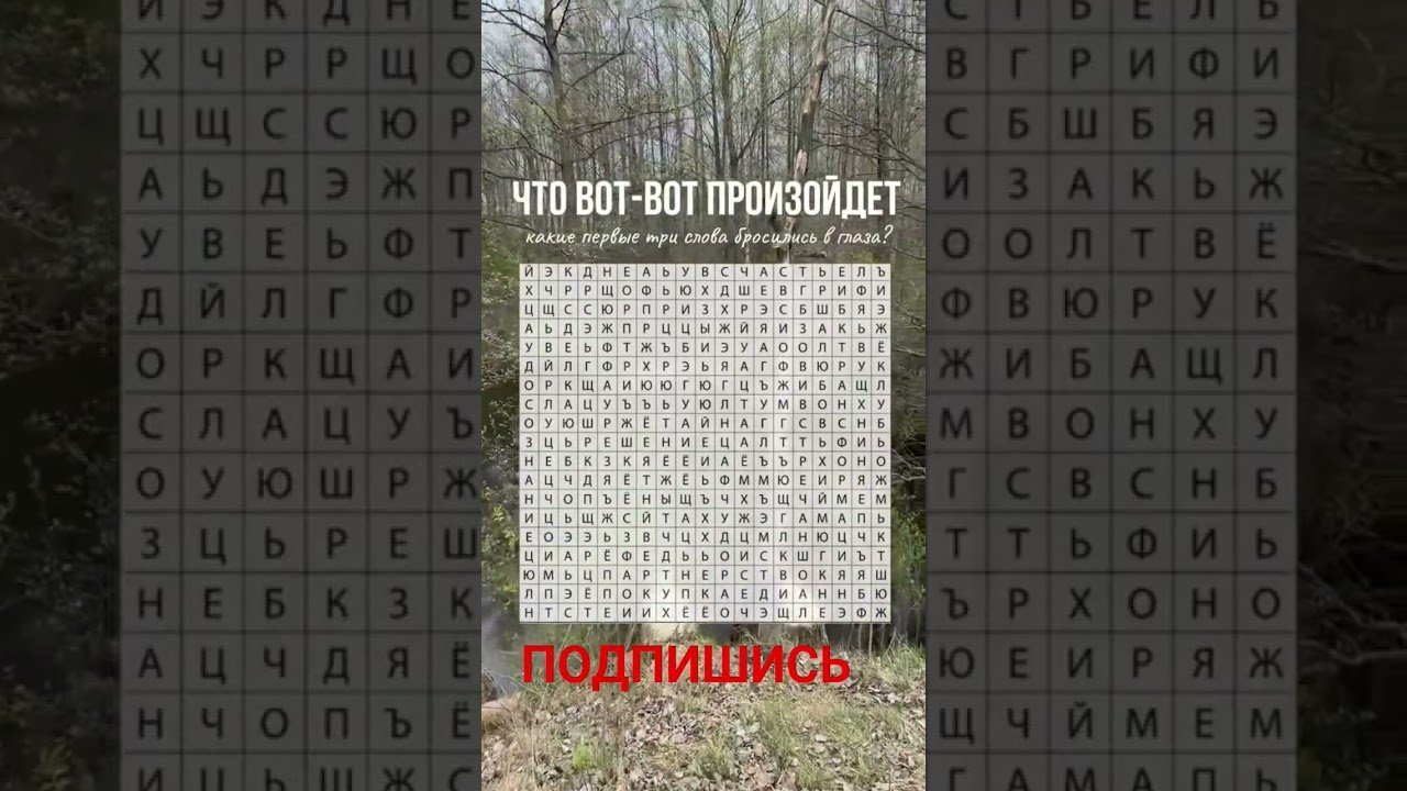 No momento, você está visualizando #подпишись #таро #tarot #2026 #гадание #shorts #психология#раскладтаро #игра#эзотерика#жизнь #любовь