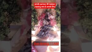 Leia mais sobre o artigo आपके partner की hidden feeling क्या हैं आपके लिए♥️♥️#tarot #hinditarotreading#love