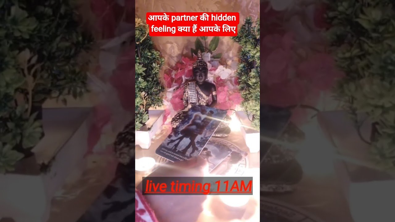 No momento, você está visualizando आपके partner की hidden feeling क्या हैं आपके लिए♥️♥️#tarot #hinditarotreading#love