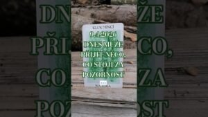 Leia mais sobre o artigo 9.4.2026 🃏🙏🏻❤️🧚🏻‍♀️ #maishaenergie #tarot #karty #vykladkaret #vzkaz #shorts #energie #vykladtarotu