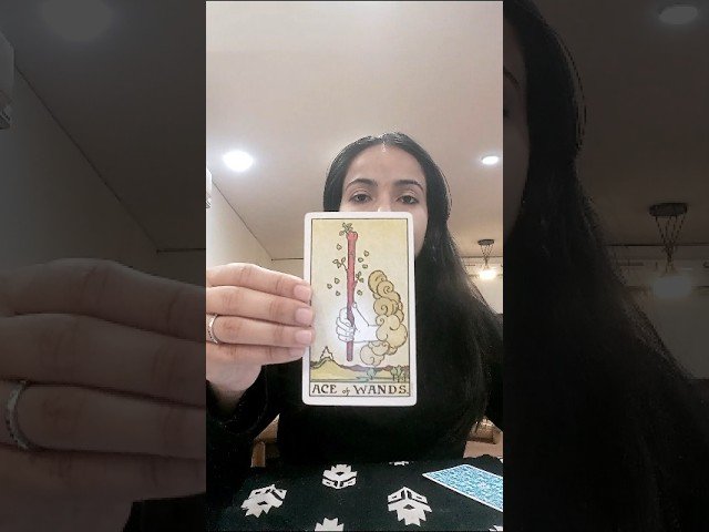 No momento, você está visualizando A special message for message #energyhealing #manifestation #mindfulpresence #tarot