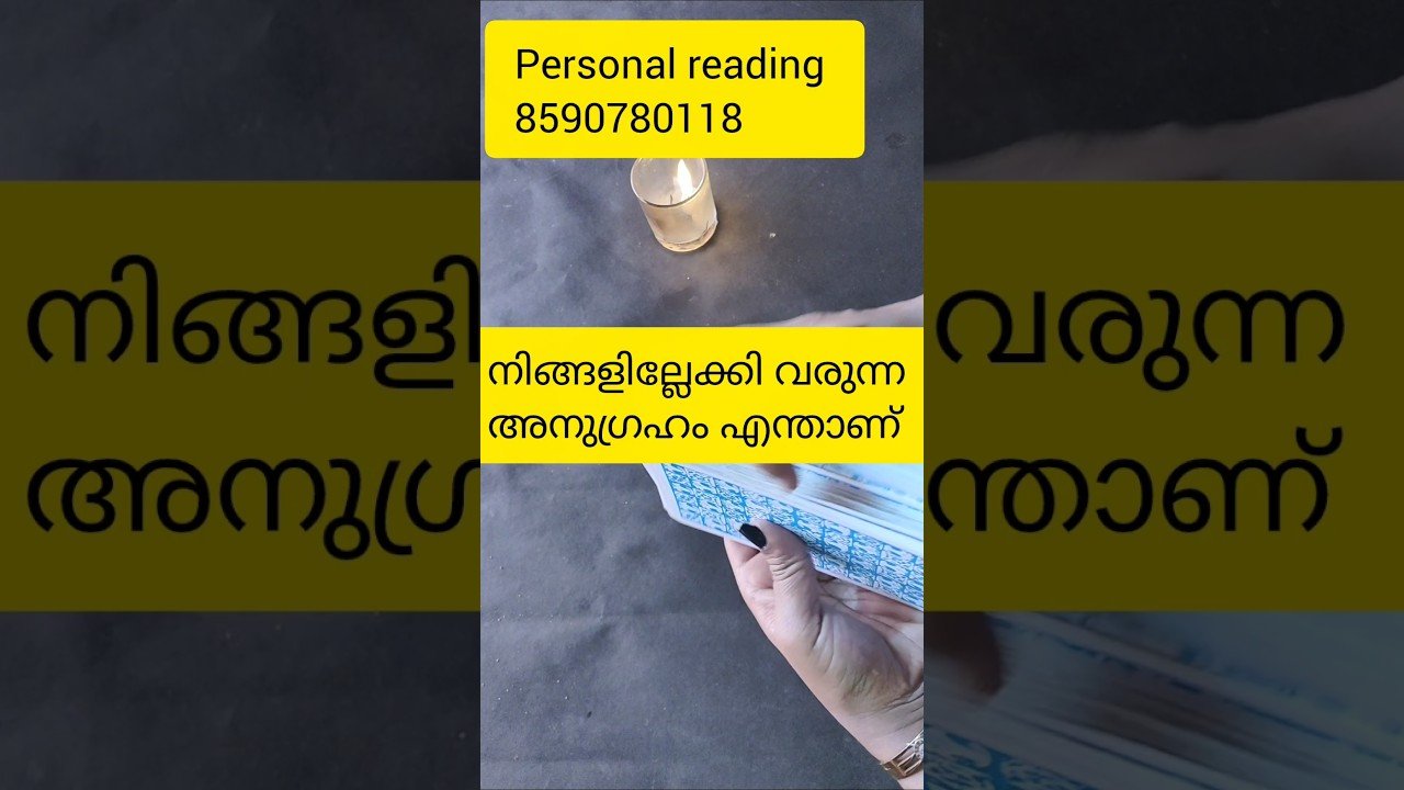 No momento, você está visualizando നിങ്ങള്ളിലേക്കി വരാൻ പോകുന്ന അനുഗ്രഹം #timelessreading #collectivereading #tarot #generalreading