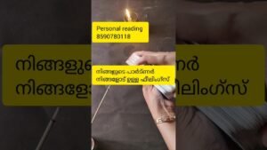 Leia mais sobre o artigo നിങ്ങളുടെ പാർട്ണർ നിങ്ങളോട് ഉള്ള ഫീലിംഗ്സ്🙏#timelessreading #tarot#collectivereading#generalreading