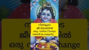 Leia mais sobre o artigo നിങ്ങളുടെ ജീവിതത്തിൽ ഒരു വലിയ മാറ്റം വരാൻ പോകുന്നു⚡✨ #malayalam #tarot #positiveshift #energy