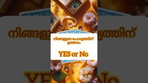 Leia mais sobre o artigo നിങ്ങളുടെ ചോദ്യത്തിന് ഉത്തരം Yes or No #shorts #shortsfeed #tarot #yesornoshorts #astrology #love