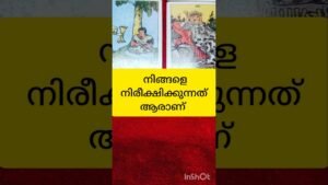 Leia mais sobre o artigo നിരീക്ഷിക്കുന്നത് ആര് #tarot #shortvideo #shortsfeed