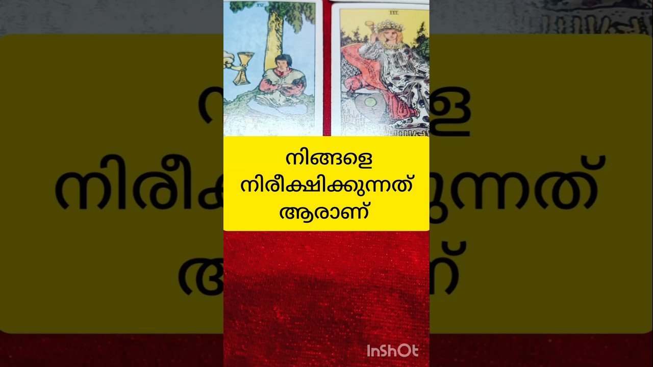 No momento, você está visualizando നിരീക്ഷിക്കുന്നത് ആര് #tarot #shortvideo #shortsfeed