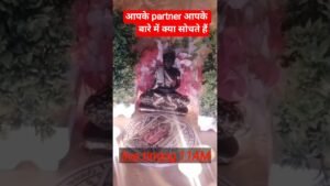 Leia mais sobre o artigo आपके partner आपके बारे में क्या सोचते हैं♥️♥️#tarot #hinditarotreading#love
