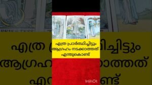 Leia mais sobre o artigo ആഗ്രഹം നടക്കാൻ ഇത് മാത്രം ചെയ്യൂ #tarot #shortvideo #shortsfeed
