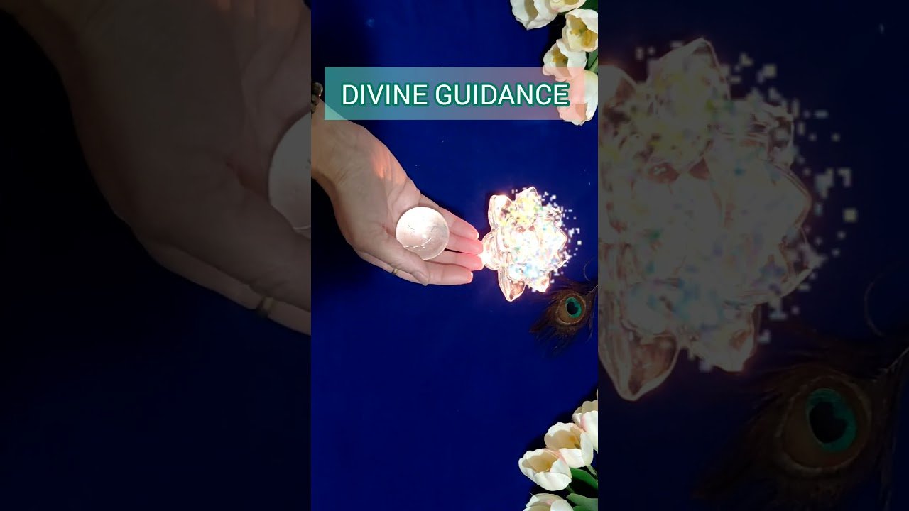 No momento, você está visualizando आज के लिए गायडिस #tarot #daily #viral