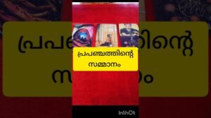 Leia mais sobre o artigo പ്രപഞ്ചത്തിന്റെ സമ്മാനം #tarot #shortvideo #shortsfeed
