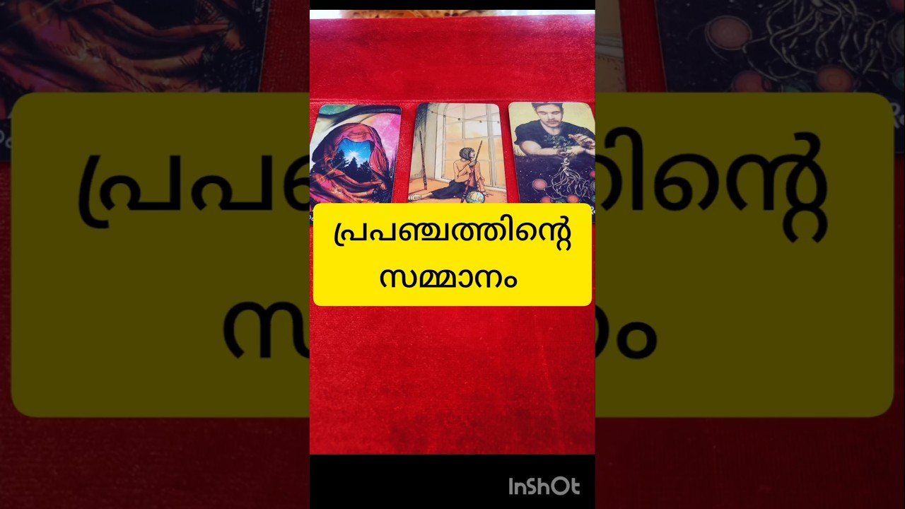 No momento, você está visualizando പ്രപഞ്ചത്തിന്റെ സമ്മാനം #tarot #shortvideo #shortsfeed