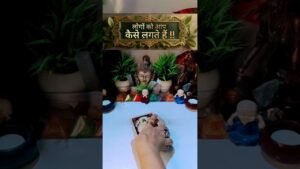 Leia mais sobre o artigo लोगों को आप कैसे लगते हैं? #tarot #trending #viral #astrology #viraltrend #shorts #youtubeshorts.