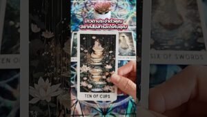Leia mais sobre o artigo เทวดาประจำตัวคุณ อยากสื่อสารอะไรกับคุณ #tarot #ไพ่ยิปซี #pickacard #tarotreading #random #ไพ่ทาโร่ต์